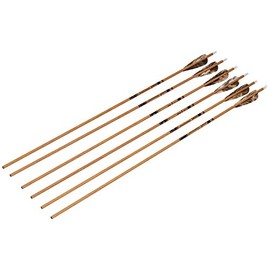 Gold Tip Traditional Arrows with 4-Inch Feathers (Pack of 6), Brown, 500