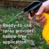 Victor M809 Mouse and Rat Repellent Natural Non-Toxic Spray for
