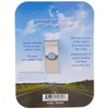 AngelStar 15690 Stars Guardian Angel Visor Clip Accent, 2-1/2-Inch,Grey
