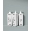 Shampoo Restructure Revitaliza Framesi Morphosis 1000 Ml