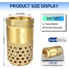 Brass Foot Valve 3/4 inch NPT Heavy Duty Spring Mesh