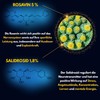 Rhodiola Rosea, 2 x more active ingredients, 5% rosavine +
