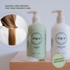 Organic Shampoo Straight Hair - All Natural
