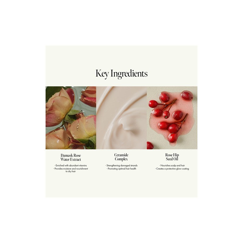 anillo [anillo]Rosy Night Repair Shampoo 450ml