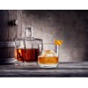 Dexas ice•ology Silicone Clear Ice Maker Tray for Crystal Clear