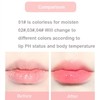 Lovelycat Pudding Glow，Blurring Pot Lip, Pudding Glow Lip Balm, Non-Sticky