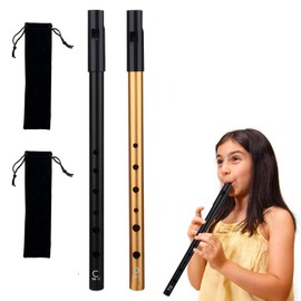 2 PCS Penny Whistle, Flute for Beginners,Tin Whistle D,Irish Flute,Tin Whistles for Beginners Intermediate and Expert Band Performances with Bag (Gold,Black)