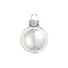 40ct Shiny Silver Glass Ball Christmas Ornaments 1