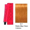 Schwarzkopf Professional Tinte Profesional Permanente Igora Royal Schwarzkopf 60ml Color