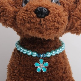 XKSRWE Dog Cat Pearls Collar Necklace with Rhinestones Flower Charm Pendant Pet Puppy Jewelry Accessory (Blue, Small)