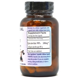 Barlowe's Herbal Elixirs EPICATECHIN Lean Mass Support | 500mg | 60 Veggie Capsules | Glass Bottles