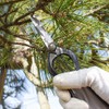 Geely Bud Pruning Shears, Forged, Fine Metal Shears, Made in