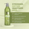 Recamier SalonIn Pro Keratin Ultra Force Shampoo For Damaged Hair