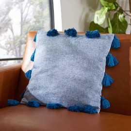 SAFAVIEH Home Collection Lonelli 18-inch Blue Tassel Decorative Accent Pillow PLS7173C-1818, 19"x19"