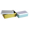 Premier Housewares Kitchen Storage Tin, Rectangular, Multi-Colour, Set of 2