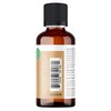 Viva Doria Ginger Essential Oil, USDA Certified, Organic Ginger Oil,
