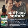 Nature's Answer Alcohol-Free Black Walnut Extract Green Hulls, 1-Fluid Ounce