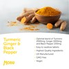 Turmeric 2000mg with Black Pepper & Ginger 120 Tablets |