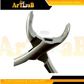 Dental Extracting Forceps #17 with Serrated Jaws for Molar Teeth Extraction Made of Stainless Steel with Knurled Handle for Firm Grip Dental Instruments