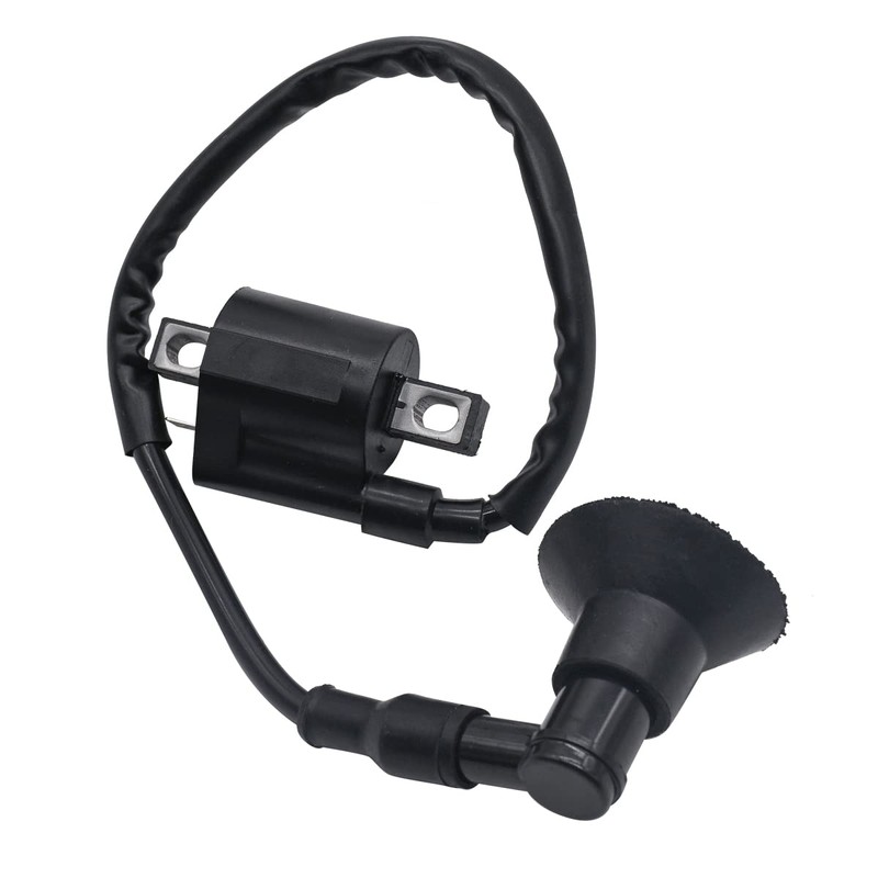 Rebuiman Ignition Coil and CDI Box Fit for Polaris Scrambler