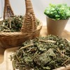참두리 인진쑥 300g(국내산)/쑥/약쑥/개똥쑥/쑥 환 등 Chamdu-ri Mugwort 300g (Domestic) /