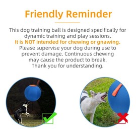 Dog Herding Ball for Dogs & Puppies, Toy Balls for Cattle, Australian Shepherd, Non-Chewing Activities, Large Dog Toy | Oxford Fabric Cover, Pump, with Patch Repair Kit (22 inch)