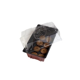 Windhager Room-Greenhouse Maxi Windowsill-Greenhouse Plant Breeding, With Source Tabs