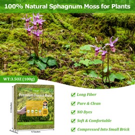 Legigo 3.5OZ Premium Forest Moss for Plants, 4QT Natural Green Sphagnum Moss for Potted Plants, Dried Orchid Moss Potting Mix, Soft Real Moss Decorative for Houseplants Orchids Succulents Reptiles
