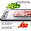 Coolinato 2 in 1 Chopping Board and Defrosting Plate, Defrosting