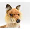 Hansa Acorn Fox 30 No. 6098