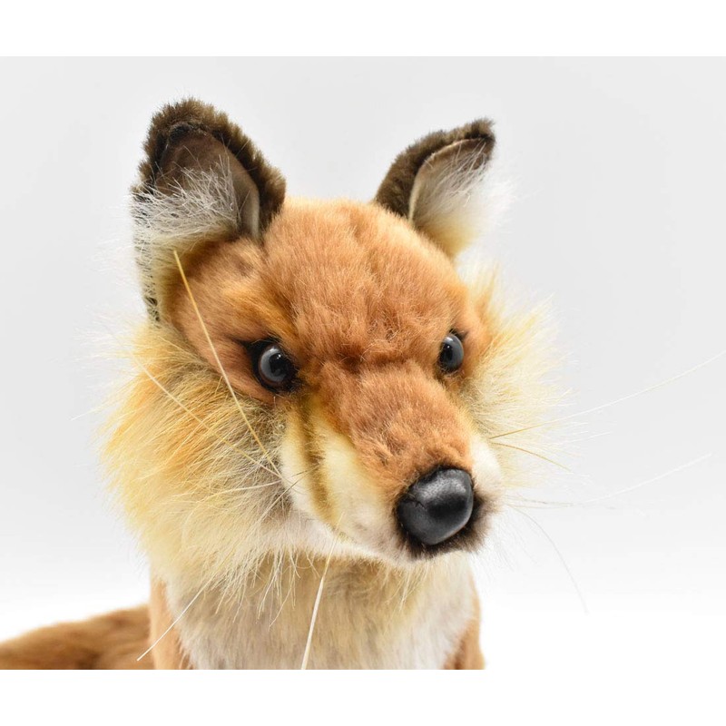 Hansa Acorn Fox 30 No. 6098