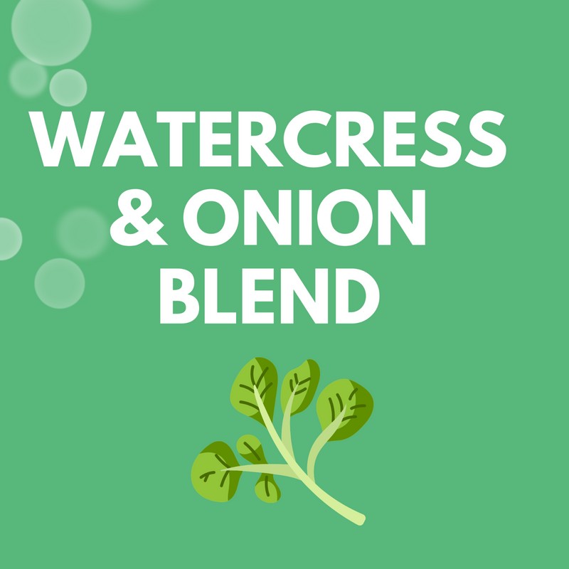 Menper Berro y Cebolla for Cough & Chest Congestion -