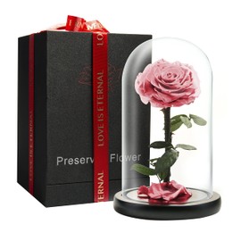 LOVAPPY Forever Preserved Rose - Eternal Rose in Glass Dome - Beauty and The Beast Rose for Mom - Fresh Flowers for Delivery Prime (Pink, 9 Inch)