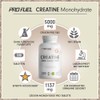 Creatine Tablets 600x - Optimal High Dose with 5685 mg