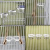 Fhandong Plastic Bird Detachable Transparent Bowl, 4Pcs, Easy Access Design,