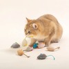 Rouly Cat Toy, Play Alone, Prevent Loneliness, Brush Teeth, Relieve