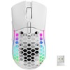 Wireless Mouse, Honeycomb Shell Mouse with 2 Side Buttons, High-Precision 2400DPI Optical Sensor, 7 Buttons, 14 Rainbow Backlit, Ultralight Wireless Mouse for PC/Mac/Laptop,White