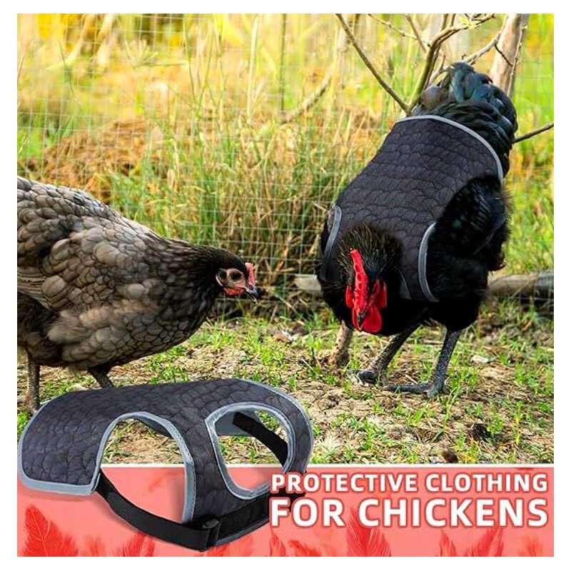 Chicken Saddle for Hens Adjustable Strap Chicken Saddle Breathable Full