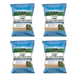 Jonathan Green (3 lb) Blue Panther Kentucky Bluegrass Grass Seed - Cool Season Lawn Seed (Pack of 4)