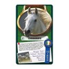 Horses & Ponies Top Trumps Card Game for 3 years