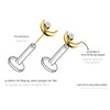 PIERCINGLINE Titanium Attachment with Push Pin Moon and Crystal without