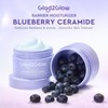 crema facial con 5X Ceramides y Blueberry, crema para la