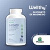 Wellthy Glicinato Magnesio 400 Cápsulas 432mg 100 Natural Puro Alta