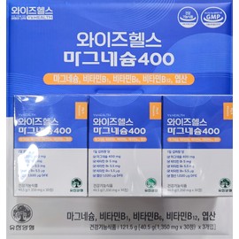 Trendy Goods Wise Health Magnesium 400 1350mg 30 tablets 3 packs / 유행양행 와이즈헬스 마그네슘 400 1350mg 30정 3개입