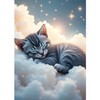QQYRHN 5D Schlafende Katze Diamond Painting Kit für Erwachsene Anfänger
