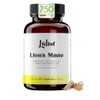 Melena de León Extracto Orgánico 750mg | Hongo Adaptógeno Nootrópico