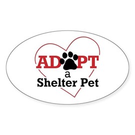 CafePress Adopt A Shelter Pet Oval Car Bumper Sticker