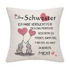 chwester Gift from Sister Brother Sister Pillow Case from Sister