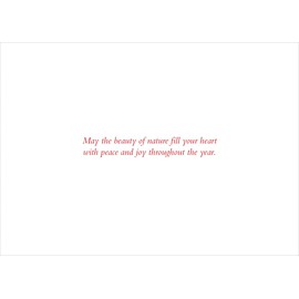 Doves in White Birches Deluxe Boxed Holiday Cards (Christmas Cards, Greeting Cards)