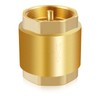 Boltigen Solid Brass Spring Check Valve, 2 Inch NPT Female